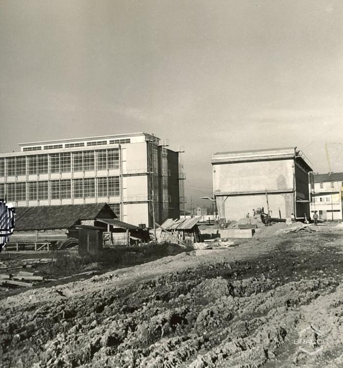Edificio B6, produzione sintetici, anni '50