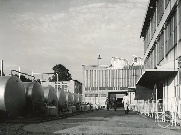 Edificio B6, produzione sintetici, anni '50