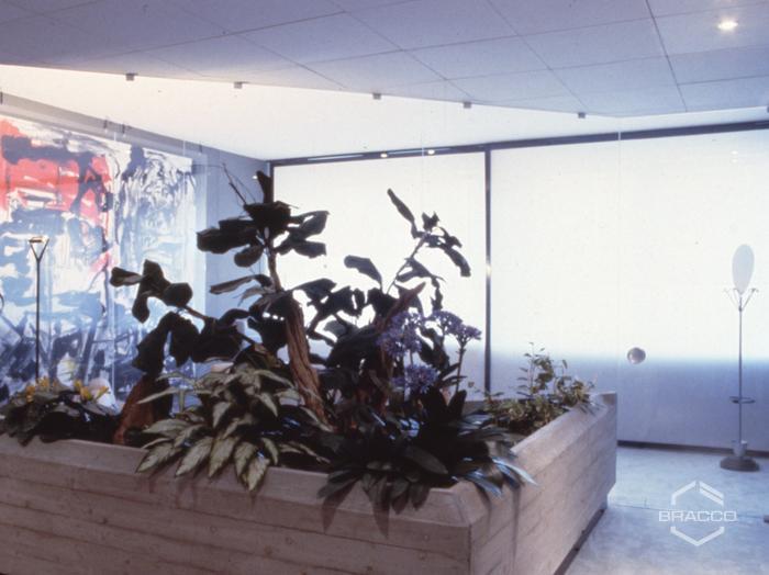 Diana de Silva cosmétiques, uffici, anni '90