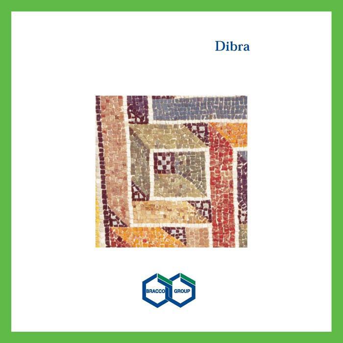 Brochure istituzionale dell'azienda "Dibra", 1999-2000