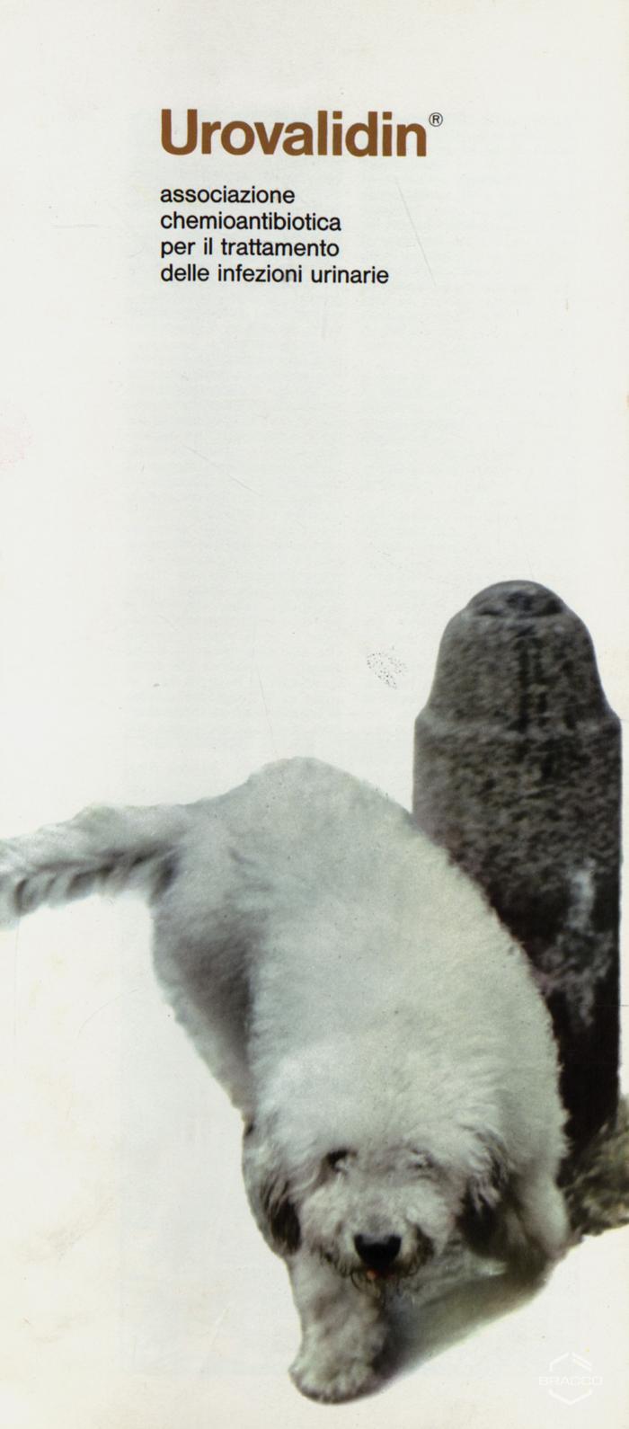 Pubblicità del farmaco "Urovalidin", associazione chemiantibiotica, maggio 1968