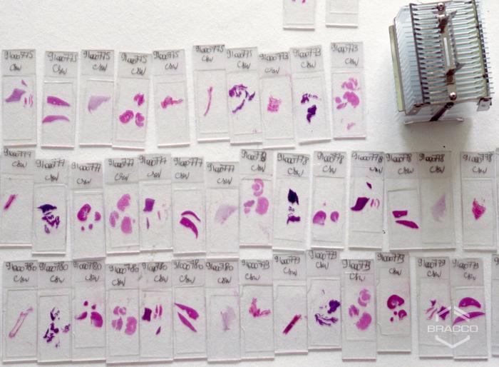 Laboratorio di ricerca del sito Bracco-Sintetica di Battelle (Carouge, Ginevra), 1993